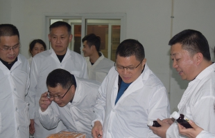 推動映山紅計劃支持海爾思IPO上市，聶副市長蒞臨海爾思藥業(yè)現(xiàn)場督導(dǎo)解決問題